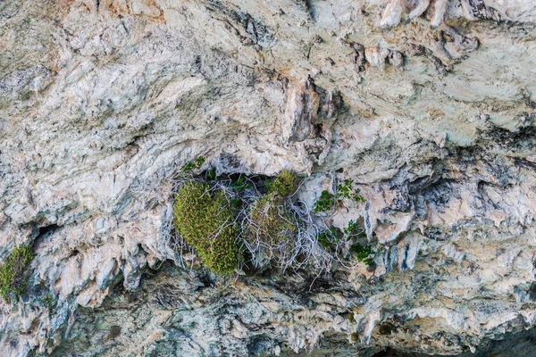 Närbild Cliff Detaljer Naturlig Bakgrund — Stockfoto