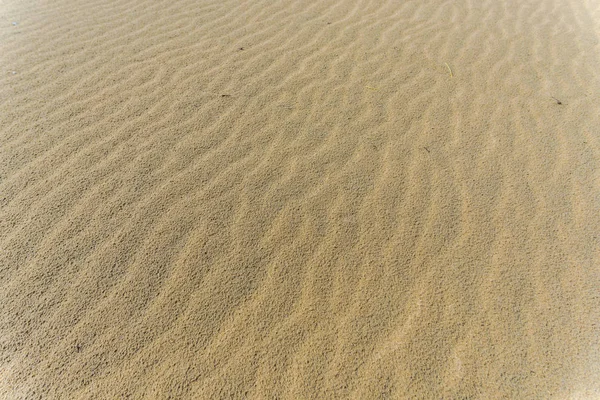 Superfície Areia Com Textura Ondas — Fotografia de Stock