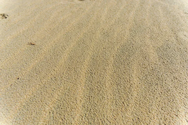 Sandoberfläche Mit Wellenstruktur — Stockfoto
