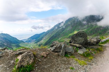 Transfagarashan yolu, yeşil çim dağlar, ön plan üzerinde kökleri 