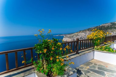 güzel yaz Thassos Island, Yunanistan sahil şeridine çiçeği sarı çiçekler, çit bakış 