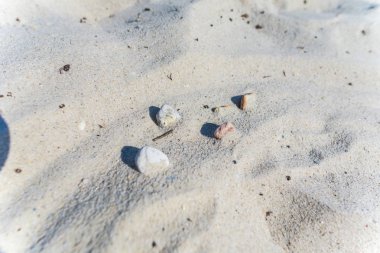 Kum dokusu, yakın görünüm.