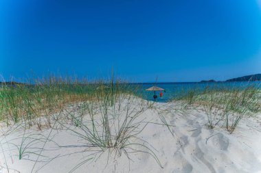 kumlu kıyı şeridi sahil ve mavi deniz suyu, plajda şemsiye üzerinde büyüyen çimen 
