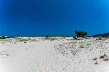 Thassos Island, Yunanistan sahil kumlu plajı ve mavi gökyüzü