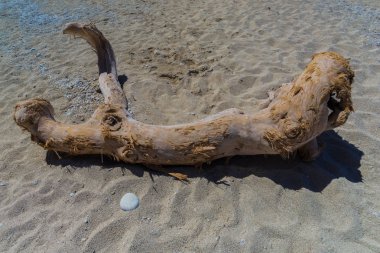 Çakıl taşları ve eski yıpranmış ağaç dalı ile kum plaj
