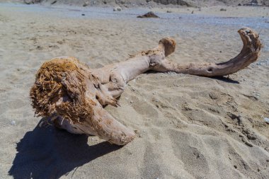 Çakıl taşları ve eski yıpranmış ağaç dalı ile kum plaj