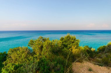 ön plan üzerinde bitki yetiştirme kıyı şeridi ve mavi deniz suyu 