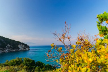 ada kıyı şeridi sahil ve mavi deniz suyu 
