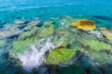Turkuaz su ve taş ile deniz kıyısı