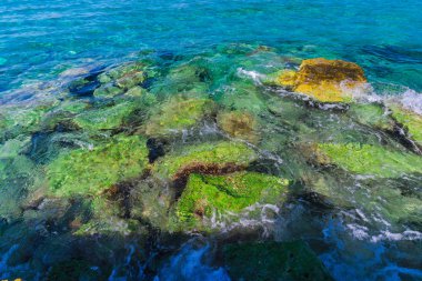 Turkuaz su ve taş ile deniz kıyısı
