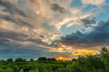 Yeşil orman ve gün batımı arka plan ile dramatik peyzaj