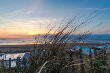 deniz suyu ve ön plan üzerinde büyüyen çimen yukarıda gökyüzü günbatımı 