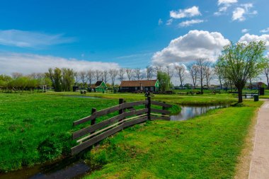 Kırsal detaylar, Hollanda'da bahar zamanı.