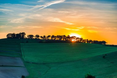 turuncu günbatımı gökyüzü çayır çimen ve ağaçları ile yukarıda