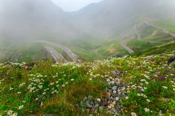 Transfagarashan Higway Green Grass Mountains Roads Clouds Meadows Flowers — Stock Photo, Image