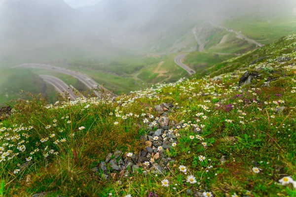 Transfagarashan Higway Verdes Montañas Hierba Con Caminos Nubes Prados Con —  Fotos de Stock