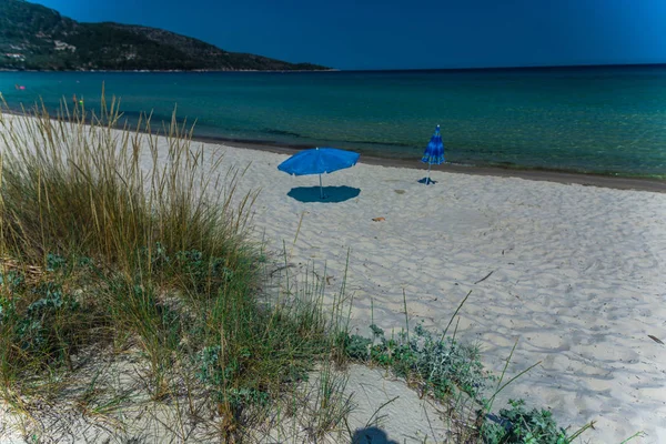 Kumlu Kıyı Şeridi Sahil Mavi Deniz Suyu Plajda Şemsiye Büyüyen — Stok fotoğraf