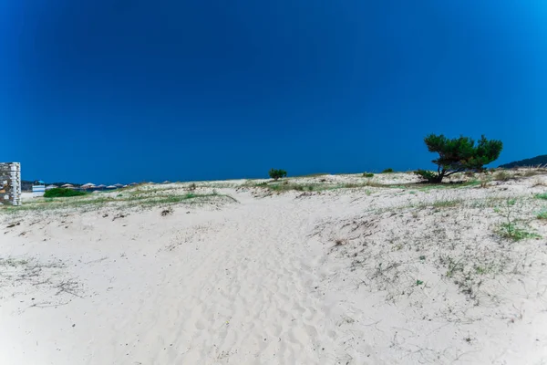 Остров Тассос Береговая Линия Греции Песчаный Пляж Голубое Небо — стоковое фото