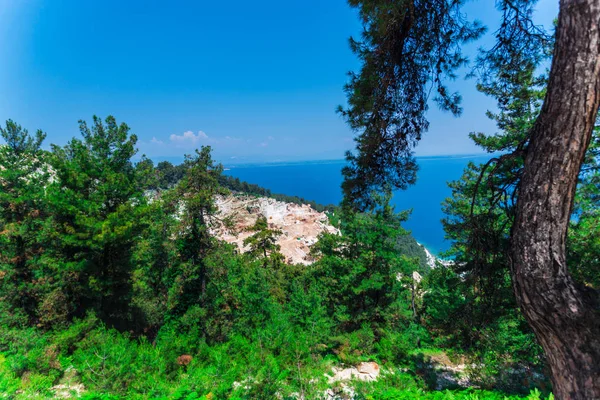 Yemyeşil Ağaçlar Mavi Deniz Suyu Yaz Tatili — Stok fotoğraf