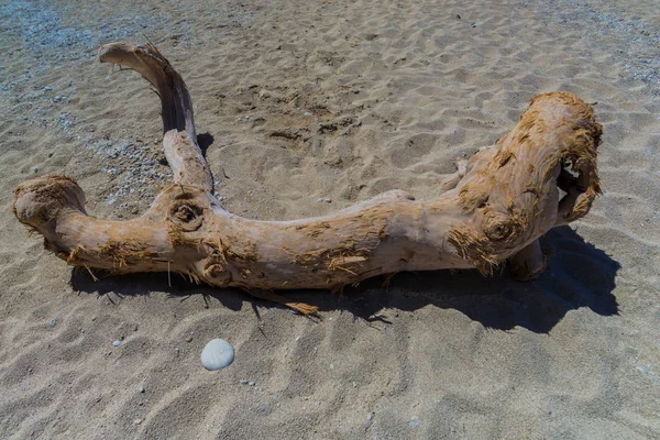 Spiaggia Sabbia Con Ciottoli Vecchio Ramo Albero Intemperie — Foto Stock