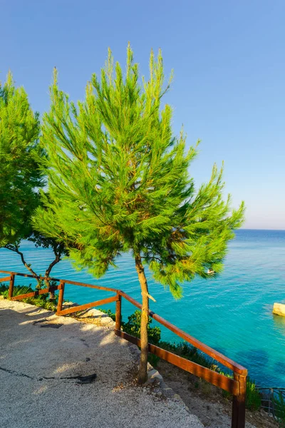 blue sea water and green trees on hill with fence and ladder
