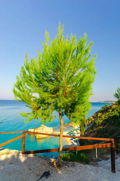 blue sea water and green trees on hill with fence and ladder