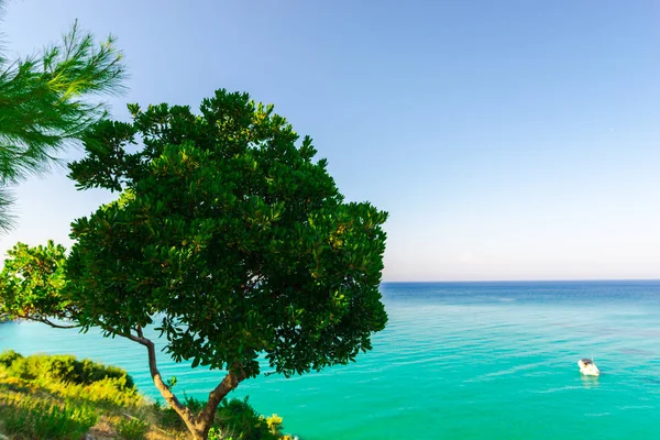 Grüne Bäume Und Blaues Meerwasser Sommerurlaub — Stockfoto