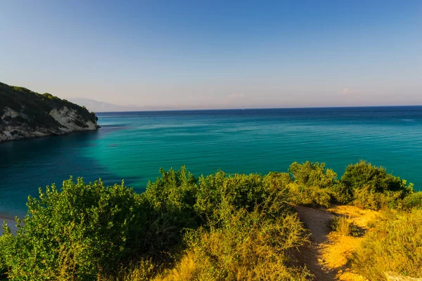 Baumblätter Und Blaues Meerwasser Sommerurlaub — Stockfoto