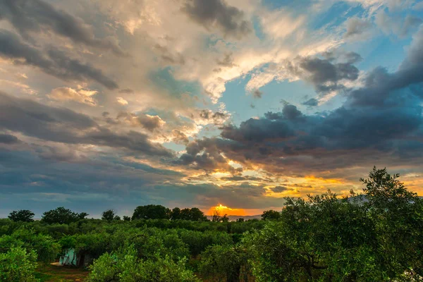 Dramatische Landschaft Mit Grünem Wald Und Sonnenuntergang — Stockfoto