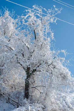 Karlı kış Dağları peyzaj