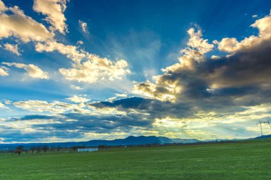 Taze yeşil alan peyzaj