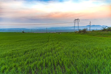 Elektrik direkleri ve gökyüzü arka plan ile Alan