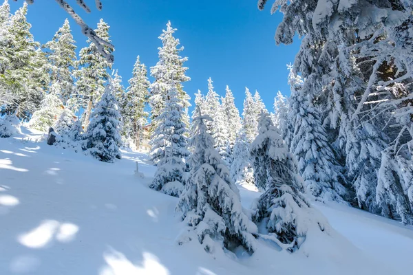 Día Invierno Nieve Montañas Paisaje Con Árboles Coníferas — Foto de Stock