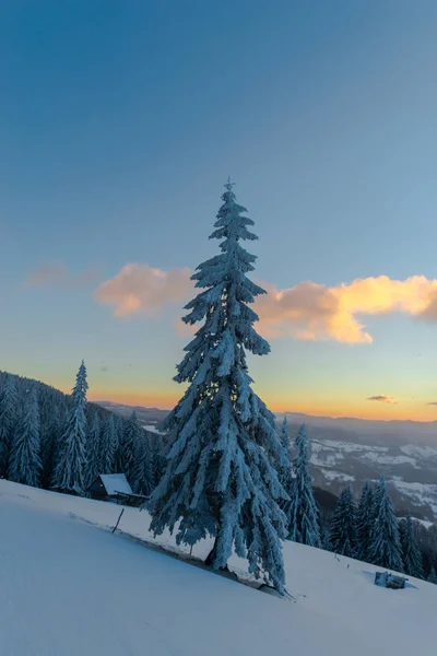 Vinter Snö Täckta Landskap Med Träd Och Trä Koja — Stockfoto