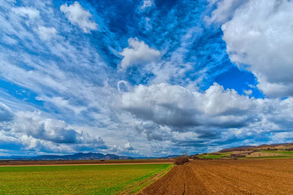 Dramatic landscape with field at daytime and cloudy sky background