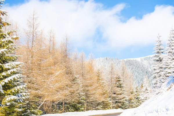 Paisaje Montañas Nevadas Invierno — Foto de Stock