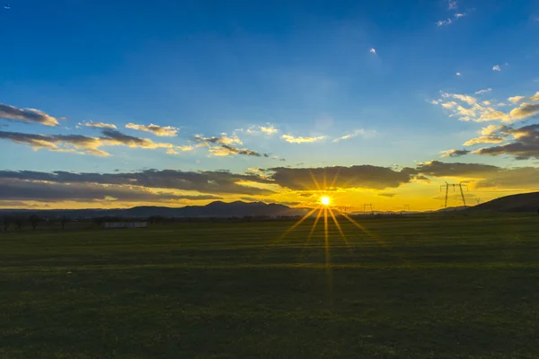 Landscape of fresh green field