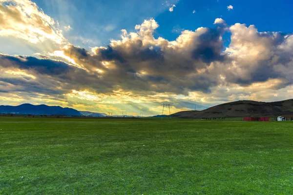 Landscape of fresh green field