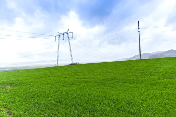 Landscape of fresh green field