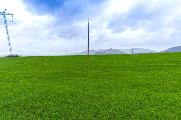 Campo Com Postes Eletricidade Fundo Céu — Fotografia de Stock