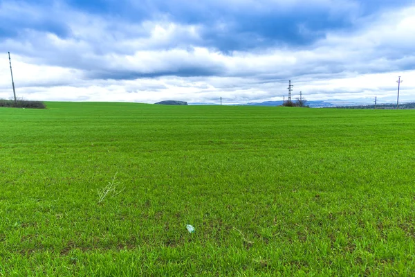 Field Electricity Poles Sky Background — Stock Photo, Image