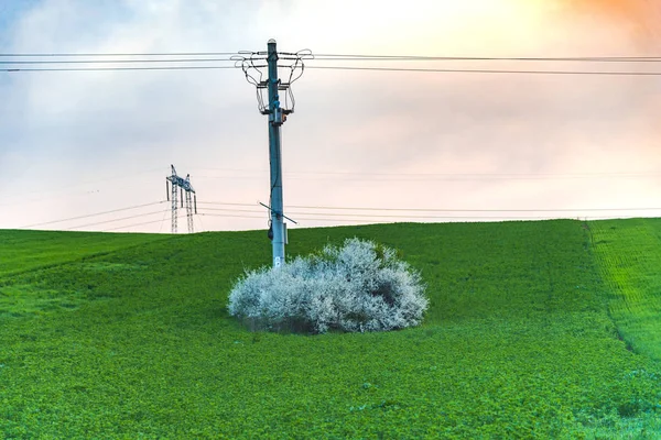 Champ Avec Poteaux Électriques Fond Ciel — Photo