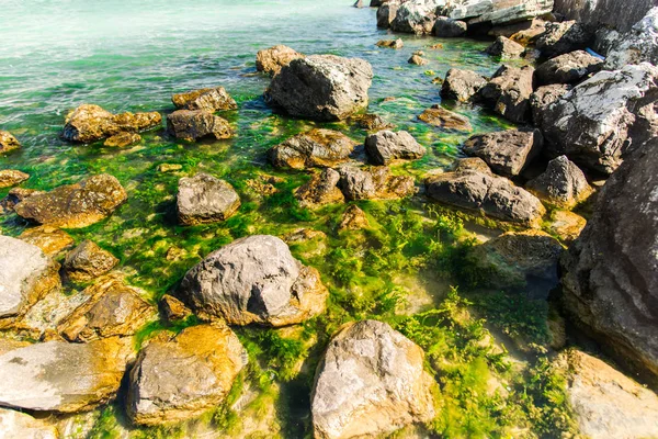 水中的青苔 有岩石和石头 — 图库照片