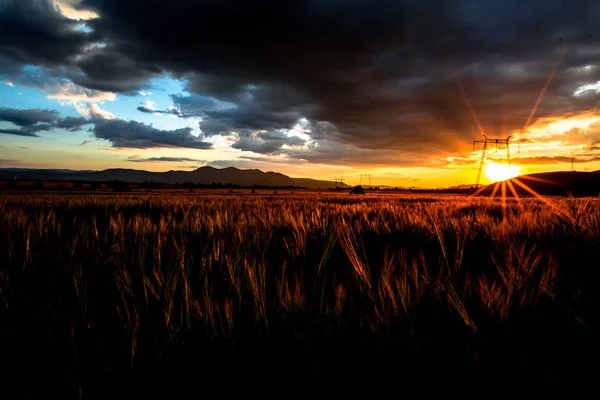 Sunset Field Hiding Sun Clouds — Stock Photo, Image