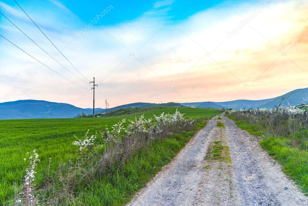 Field with electricity poles and sky background
