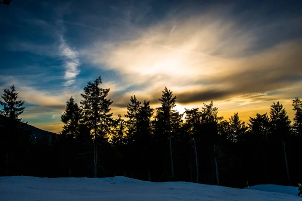 Mountains Forest Winter Time Trees Sunset — Stock Photo, Image
