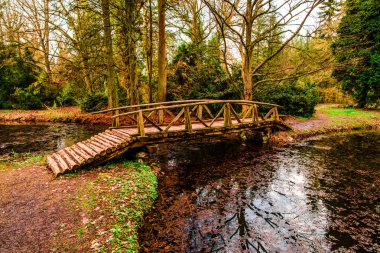 Parlak ağaçlar yeşillik ve küçük ahşap köprü Nehri üzerinden sonbahar park