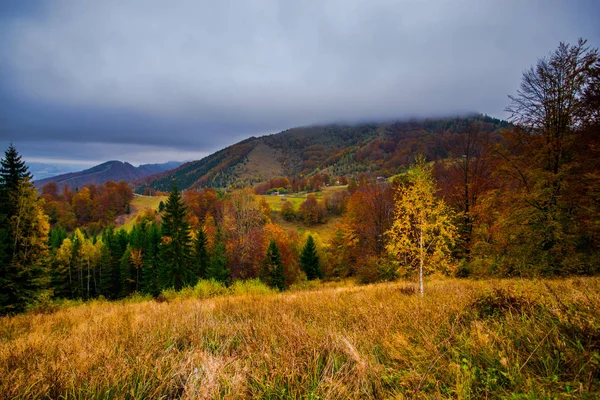 Úžasný Výhled Hory Podzimní Lesy Přírodní Pozadí — Stock fotografie