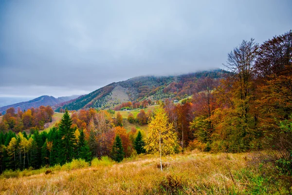 Sonbahar ormanları, doğal arka plan ile dağların muhteşem görünümü.