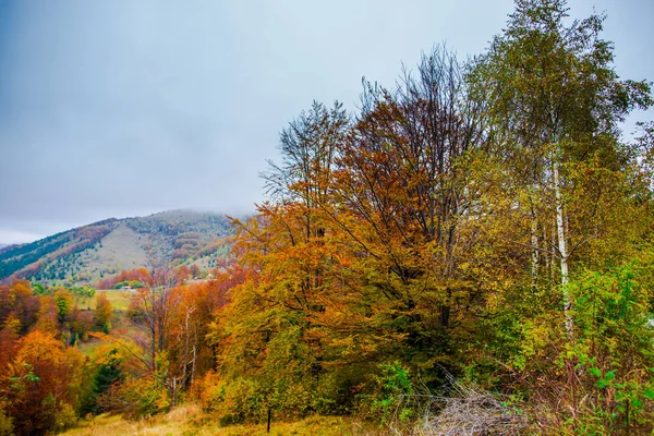 Increíble Vista Las Montañas Con Bosques Otoñales Fondo Natural —  Fotos de Stock